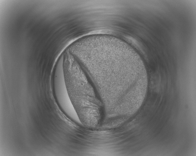 X0000065981276200603311855