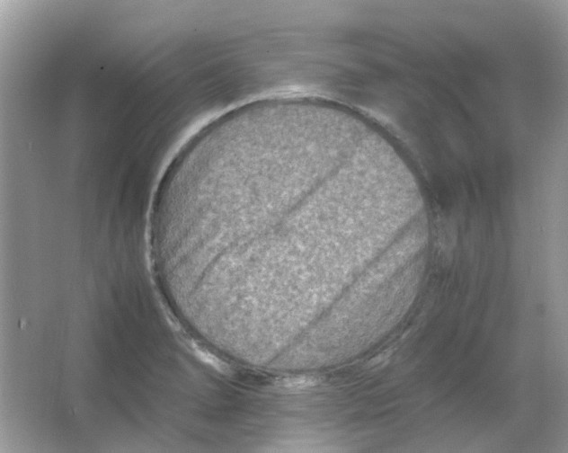 X0000065981278200603311855