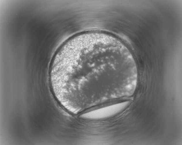 X0000065981279200603311855