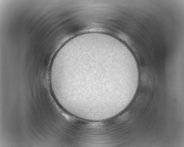 X0000065981282200603311855