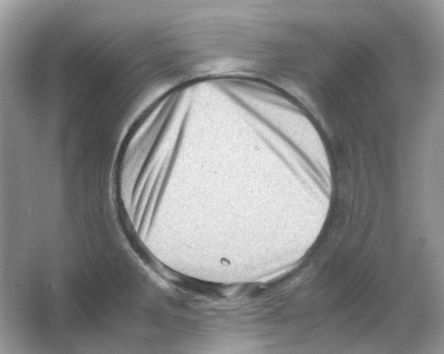 X0000065981285200603311855