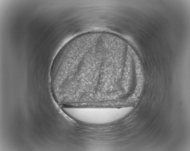 X0000065981287200603311855