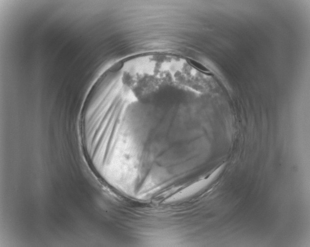 X0000065981291200603311855