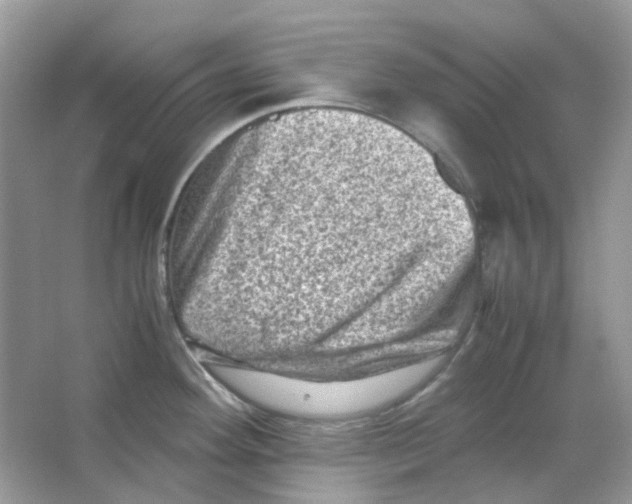 X0000065981292200603311855