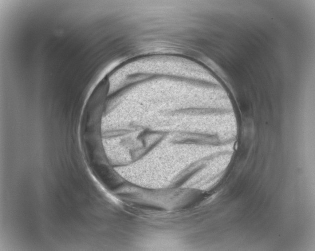 X0000065981293200603311855