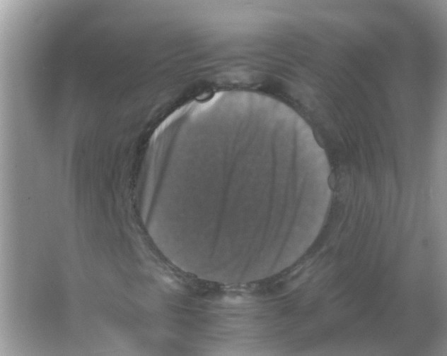 X0000065981297200603311854