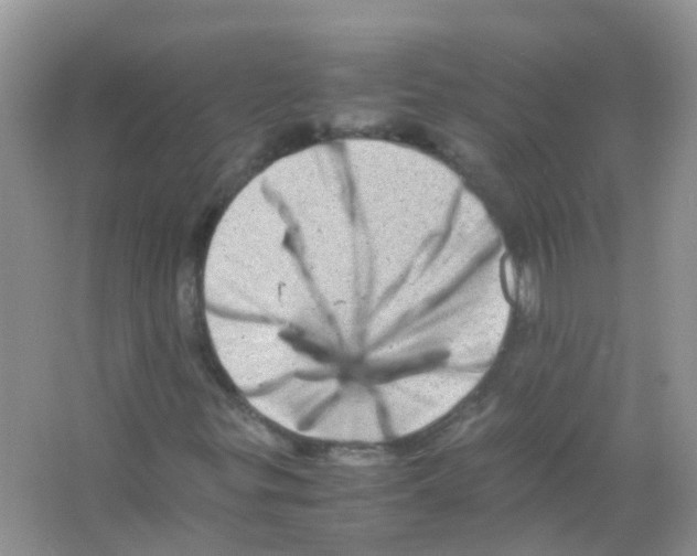 X0000065981299200603311854