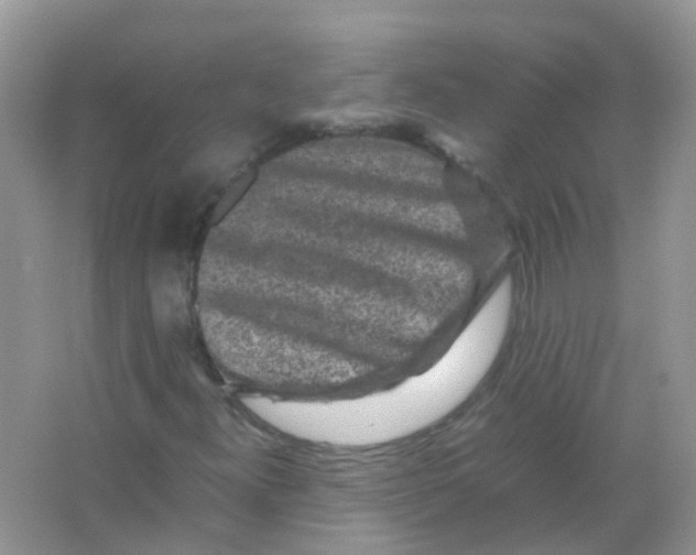 X0000065981300200603311854