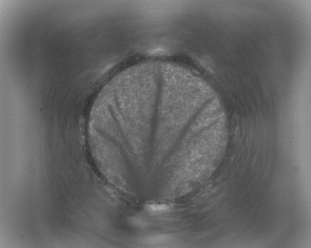 X0000065981301200603311854