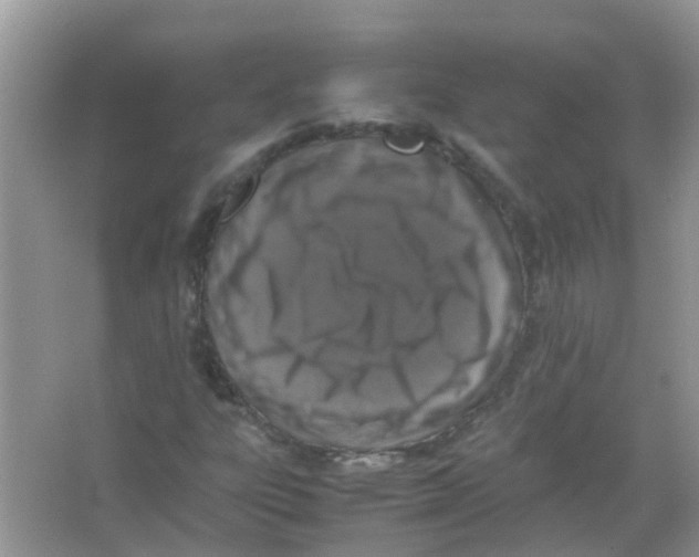 X0000065981303200603311854