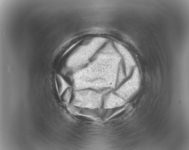 X0000065981304200603311854