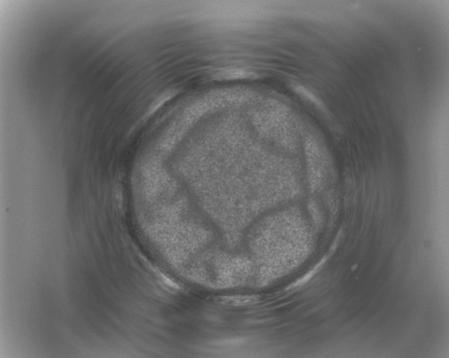 X0000065981305200603311854