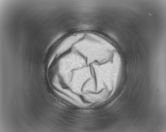 X0000065981309200603311854