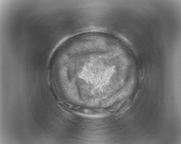 X0000065981310200603311854