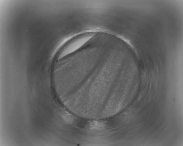 X0000065981311200603311854