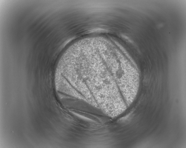 X0000065981313200603311854