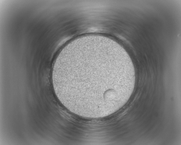 X0000065981314200603311854