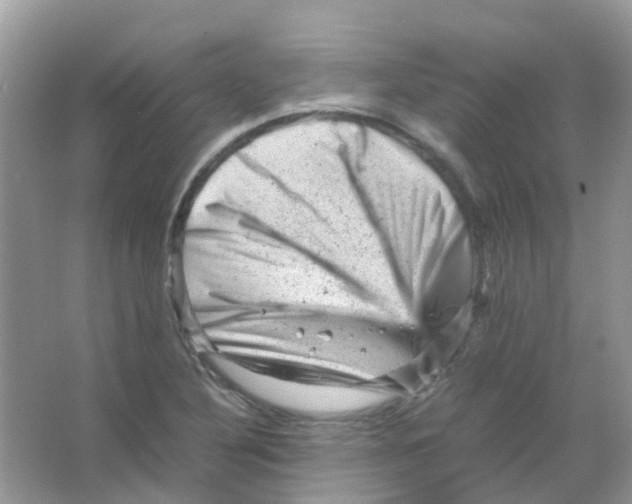 X0000065981316200603311854