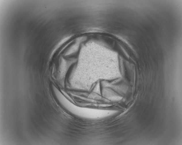 X0000065981317200603311854