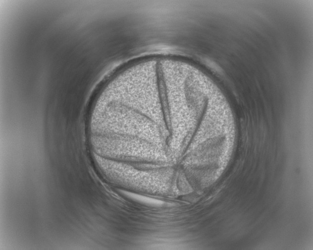 X0000065981318200603311854