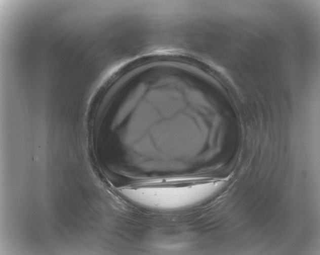 X0000065981319200603311854