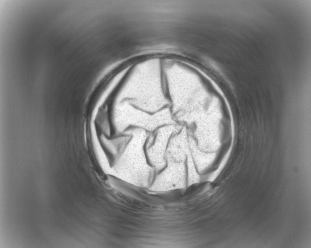 X0000065981320200603311854