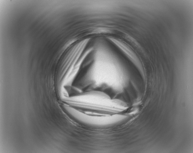 X0000065981321200603311854