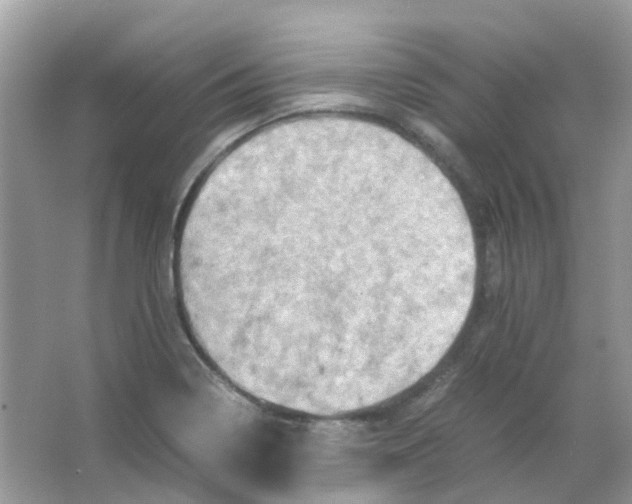 X0000065981322200603311854