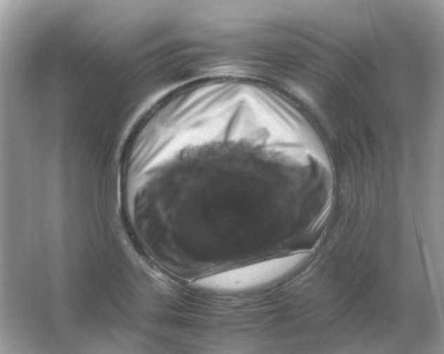 X0000065981323200603311854