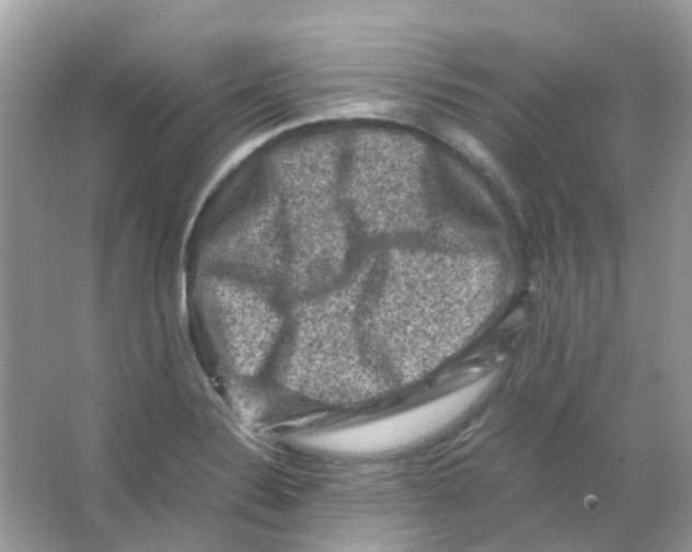 X0000065981324200603311854