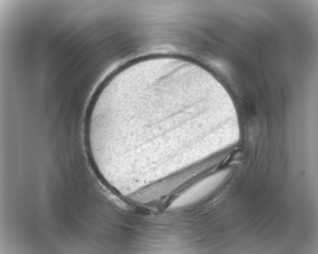 X0000065981326200603311854