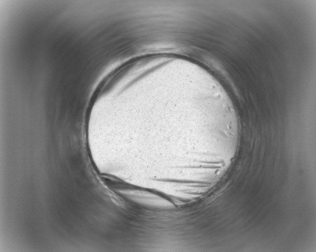 X0000065981328200603311854