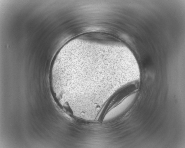 X0000065981330200603311854