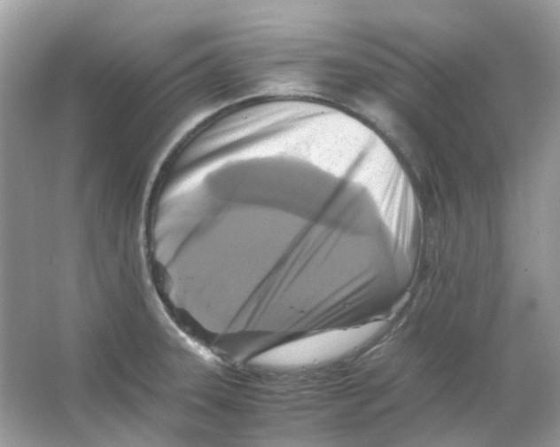 X0000065981331200603311854