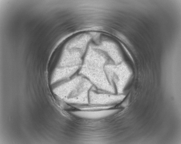 X0000065981332200603311854