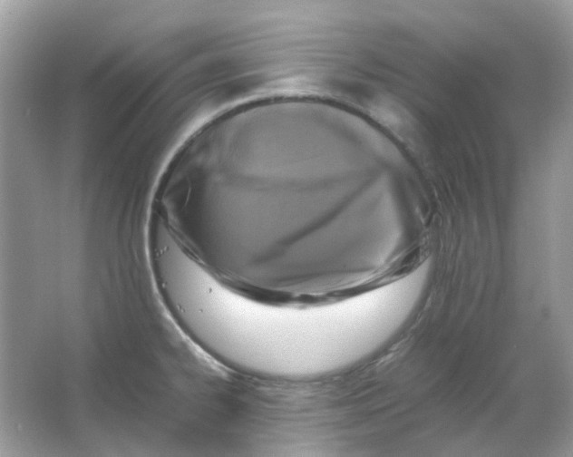 X0000065981334200603311855