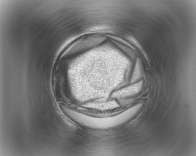 X0000065981336200603311855