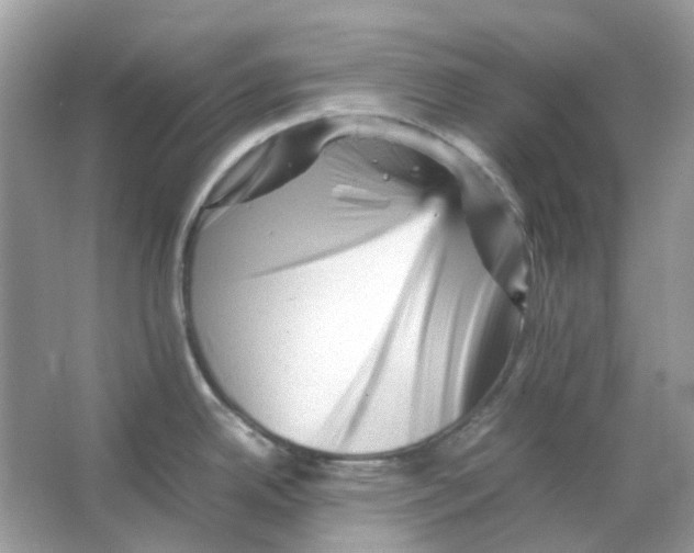 X0000065981342200603311855