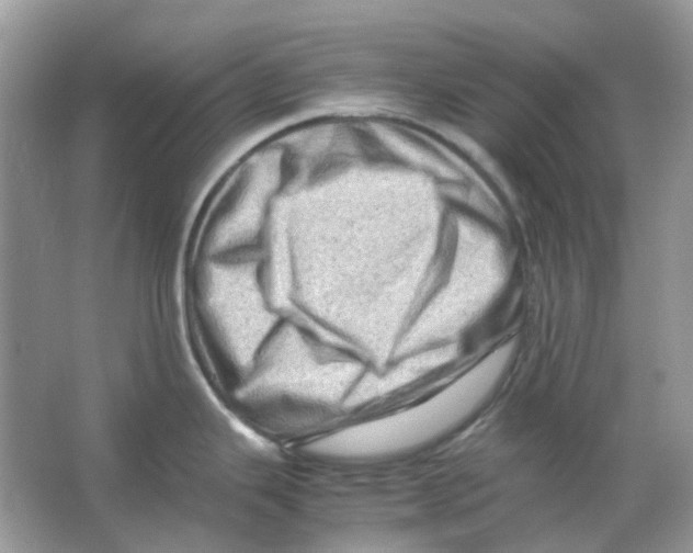 X0000065981343200603311855