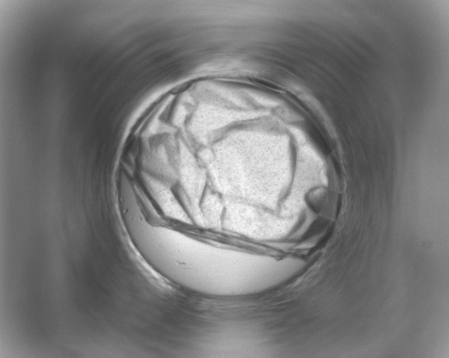 X0000065981344200603311855