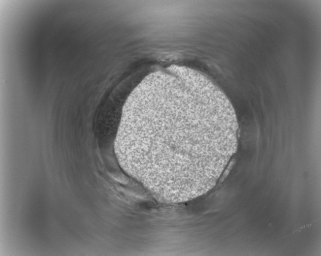 X0000065981345200603311854