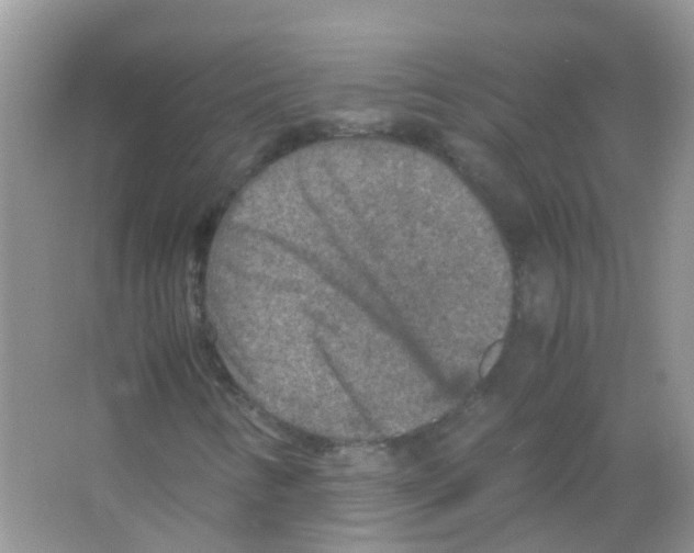 X0000065981346200603311854