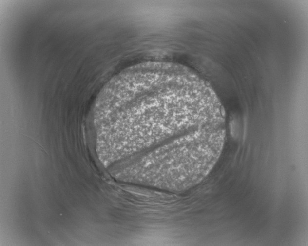 X0000065981347200603311854