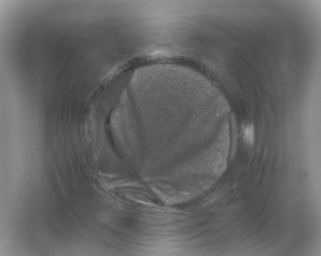 X0000065981348200603311854