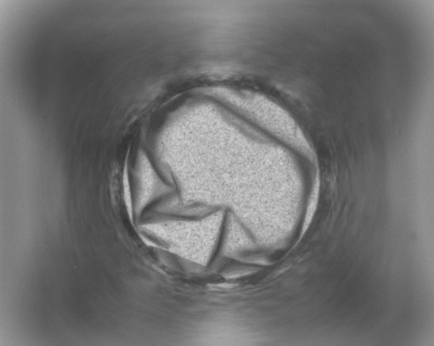 X0000065981349200603311854