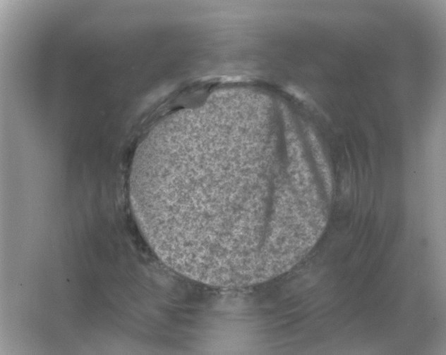 X0000065981350200603311854