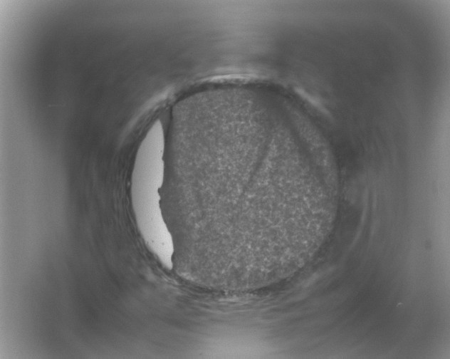 X0000065981351200603311854