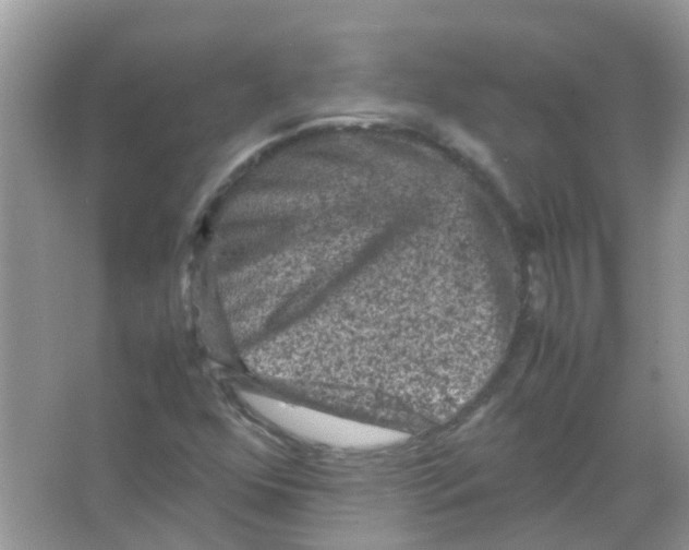 X0000065981352200603311854