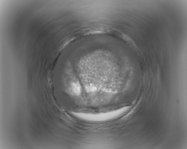 X0000065981353200603311854