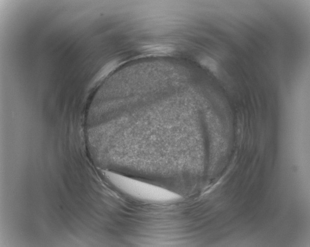 X0000065981354200603311854